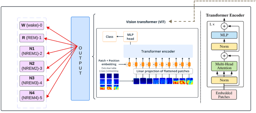 MultiStage Sleep Classification